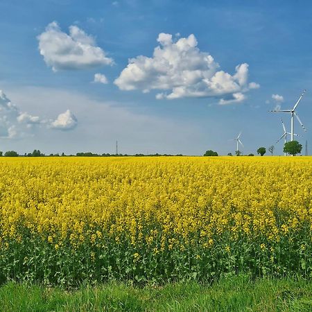 Agroturystyka Nowy Krakow Jezyce Esterno foto